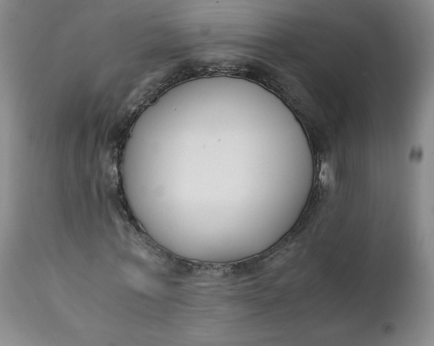 X0000111430771200907271104