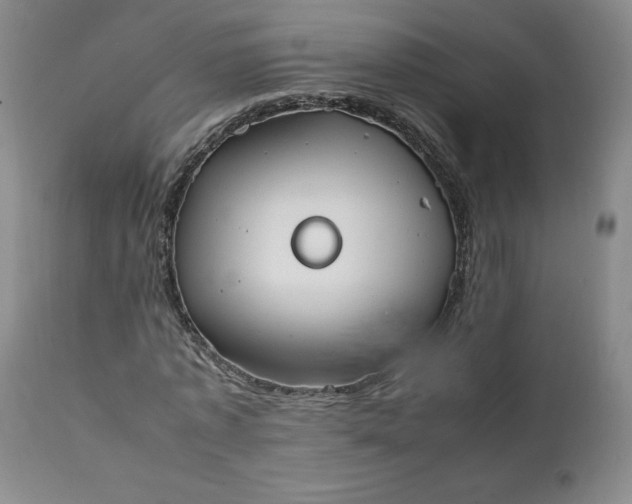 X0000111430773200907271104