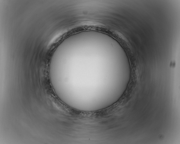 X0000111430775200907271104