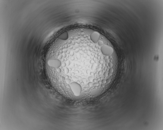 X0000111430776200907271104