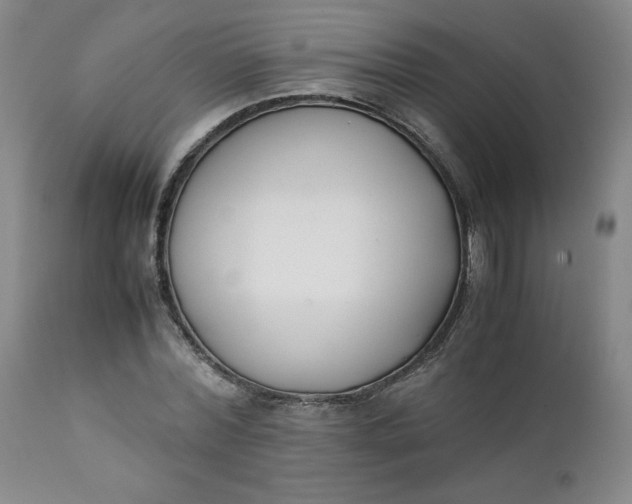 X0000111430780200907271104