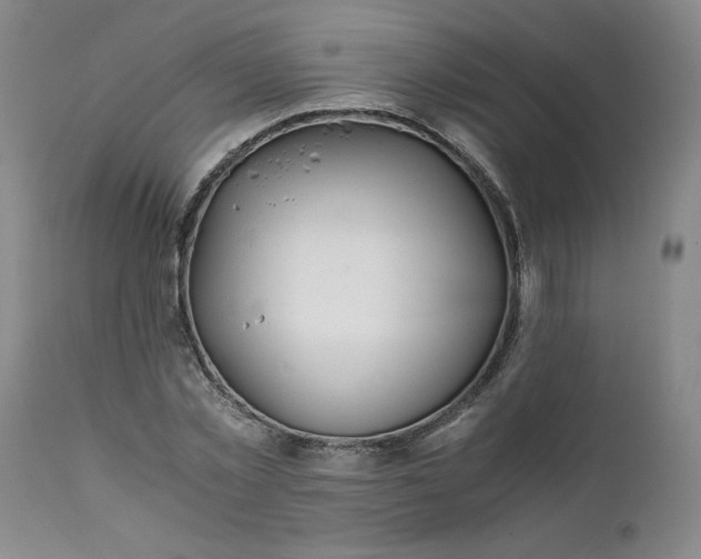 X0000111430781200907271104