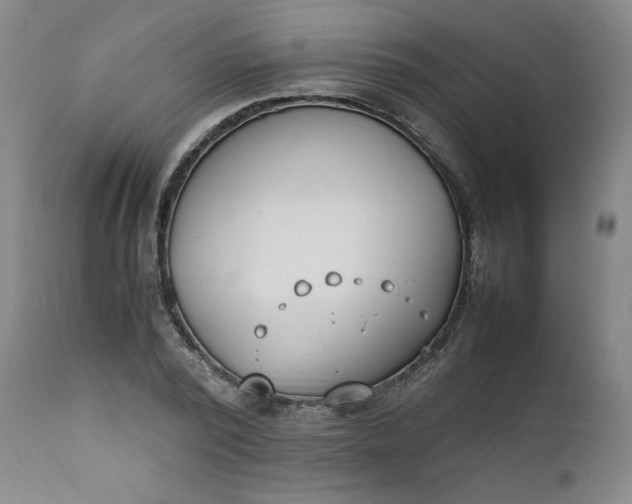 X0000111430784200907271104