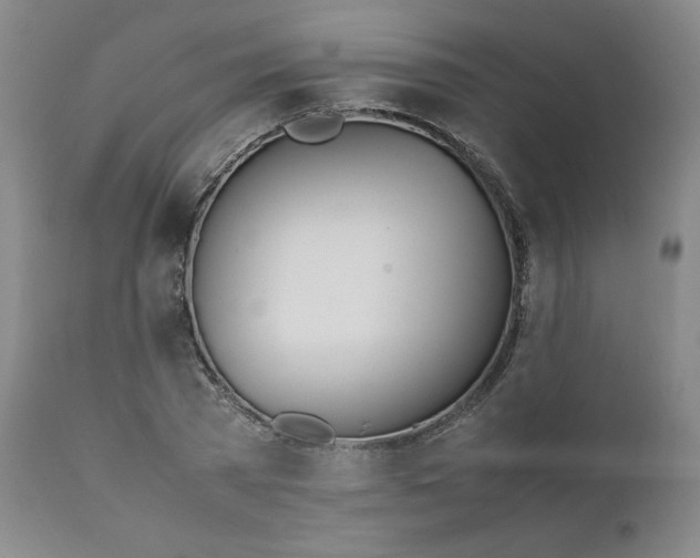 X0000111430785200907271104