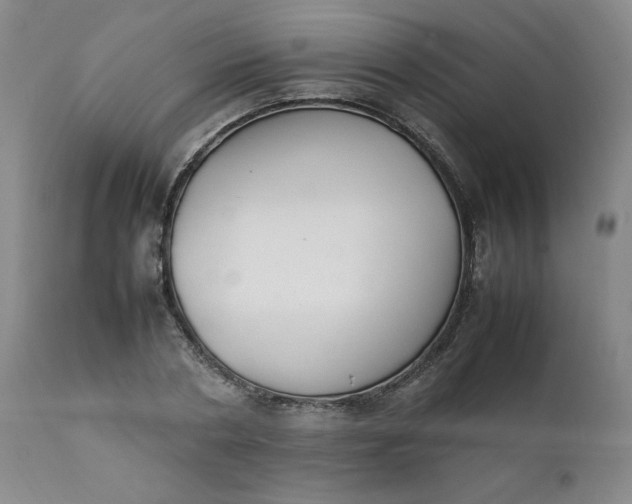 X0000111430786200907271104