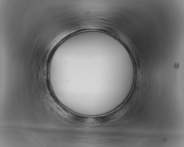 X0000111430787200907271104