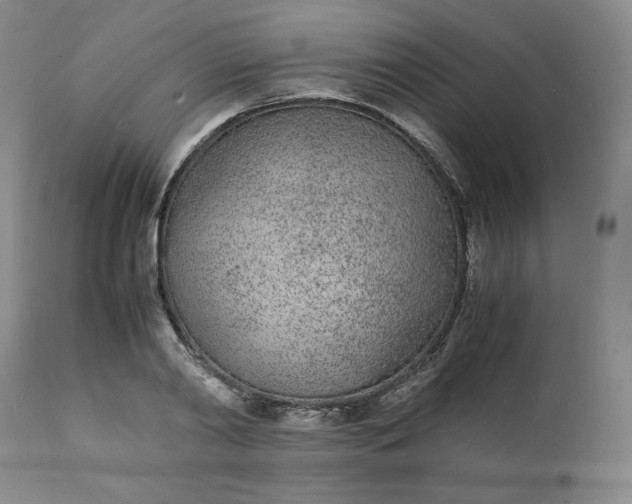 X0000111430790200907271104