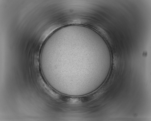 X0000111430794200907271104