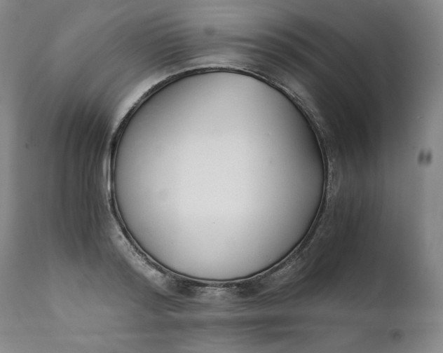 X0000111430796200907271104