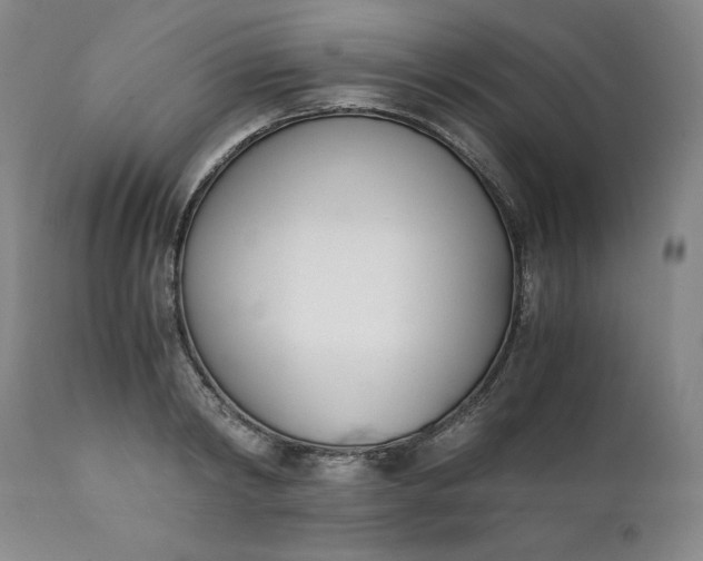 X0000111430798200907271104