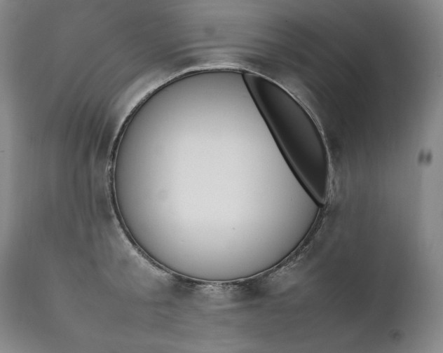 X0000111430805200907271104