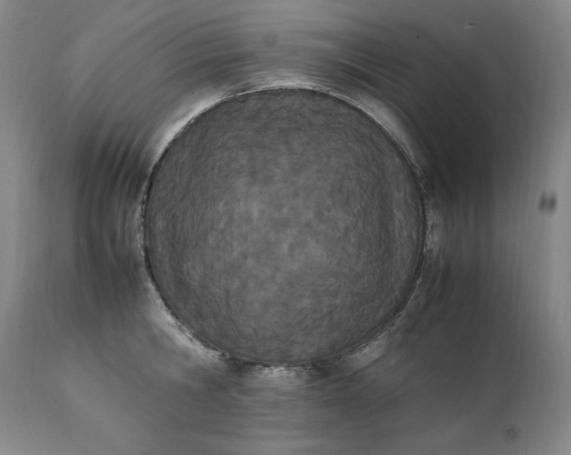 X0000111430806200907271104