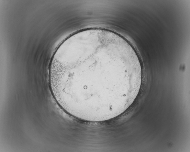 X0000111430807200907271104