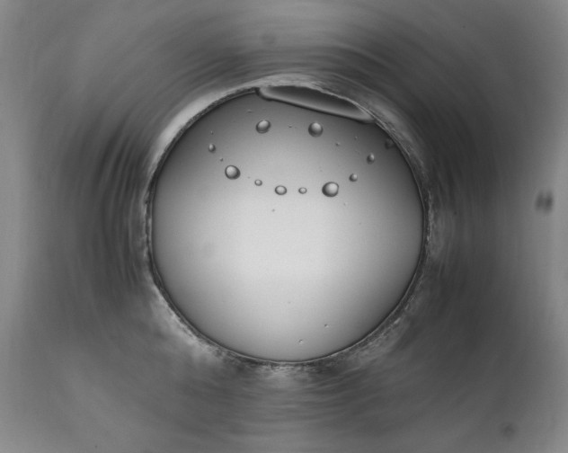 X0000111430808200907271104