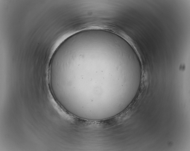 X0000111430811200907271104