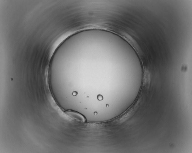 X0000111430812200907271104