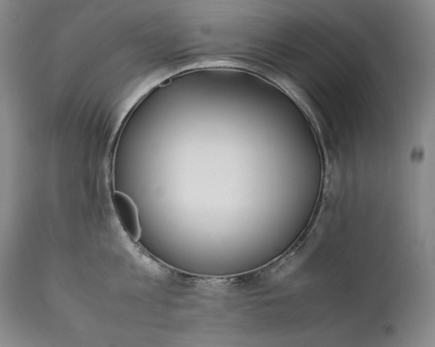 X0000111430813200907271104