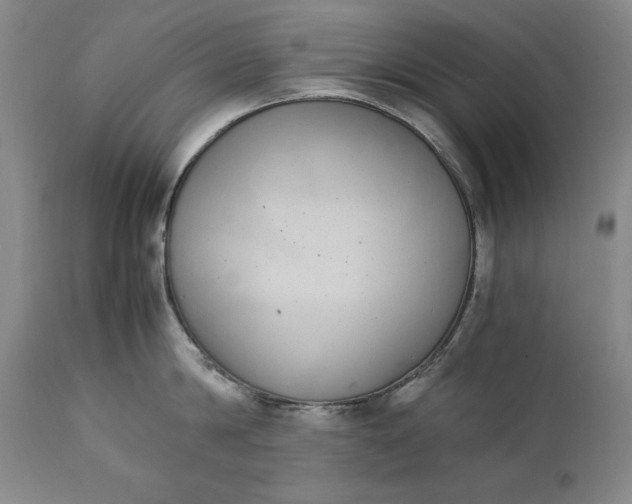 X0000111430814200907271104