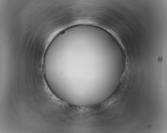 X0000111430815200907271104