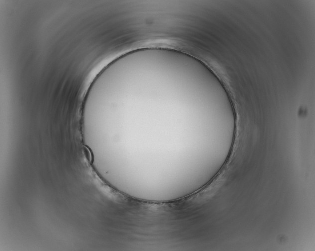 X0000111430816200907271104