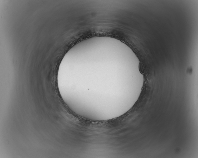 X0000111430817200907271103