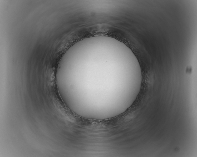 X0000111430818200907271103