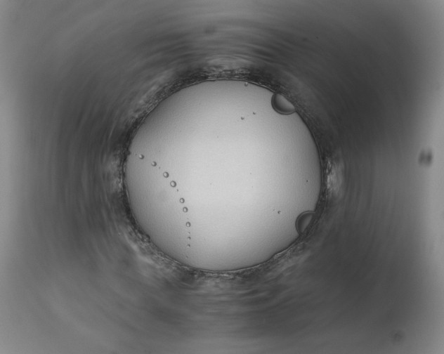 X0000111430819200907271103