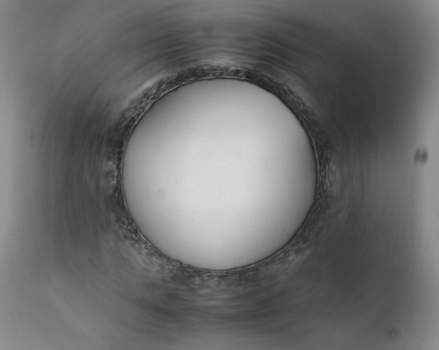 X0000111430821200907271103