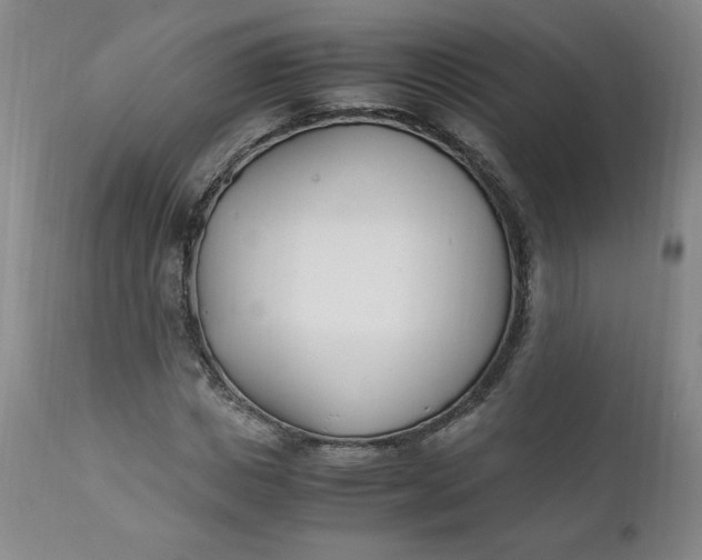 X0000111430825200907271103