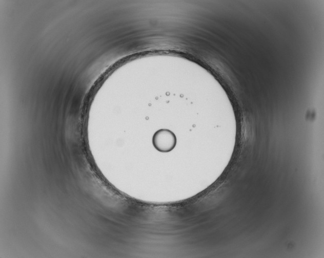 X0000111430828200907271103