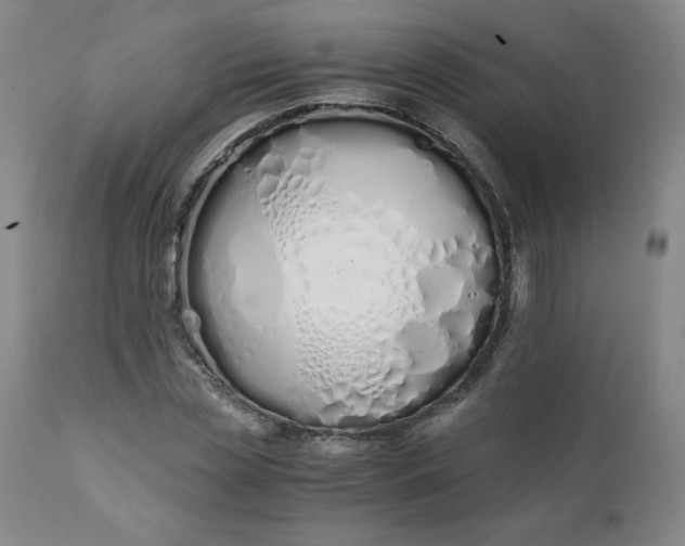 X0000111430829200907271103