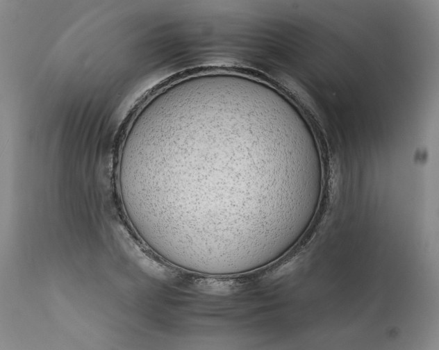 X0000111430831200907271103