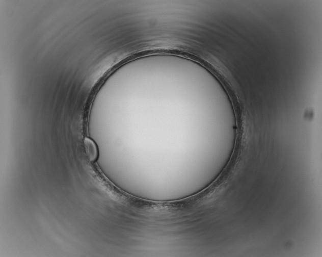 X0000111430834200907271103