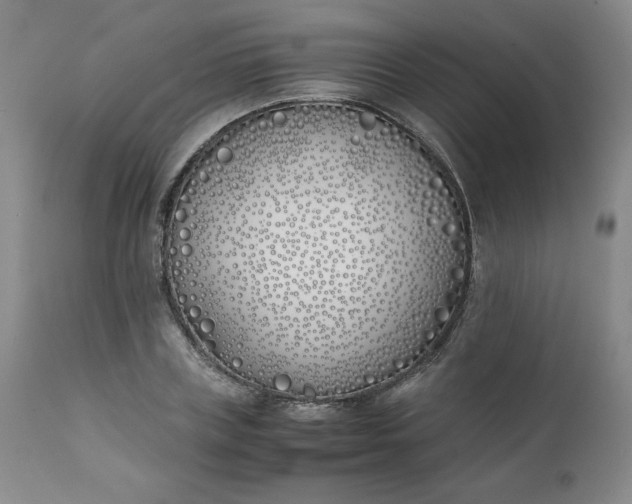 X0000111430835200907271103