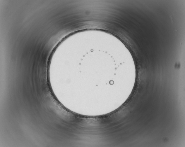 X0000111430836200907271103