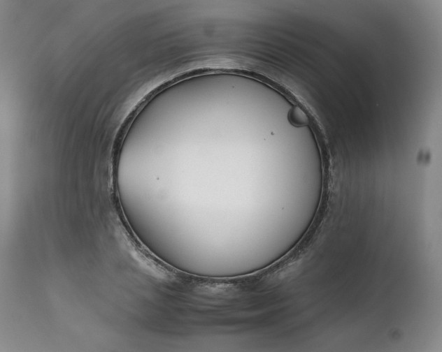 X0000111430837200907271103