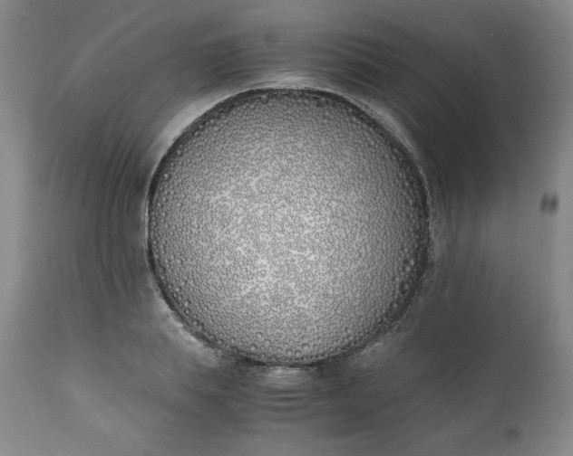 X0000111430839200907271103