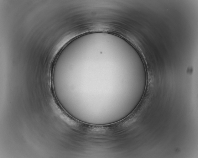 X0000111430843200907271103