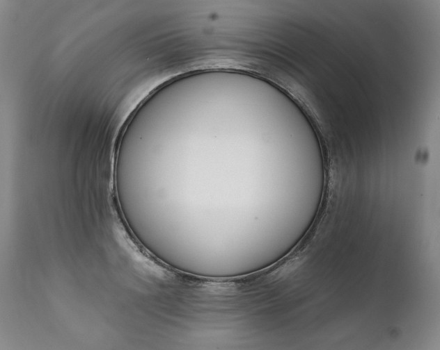 X0000111430844200907271103