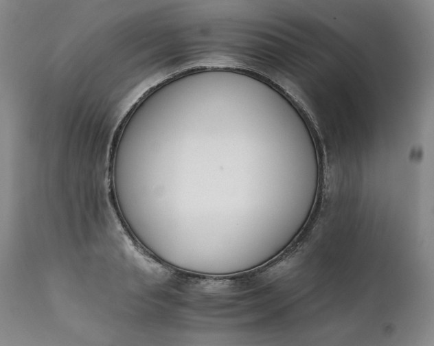 X0000111430845200907271103