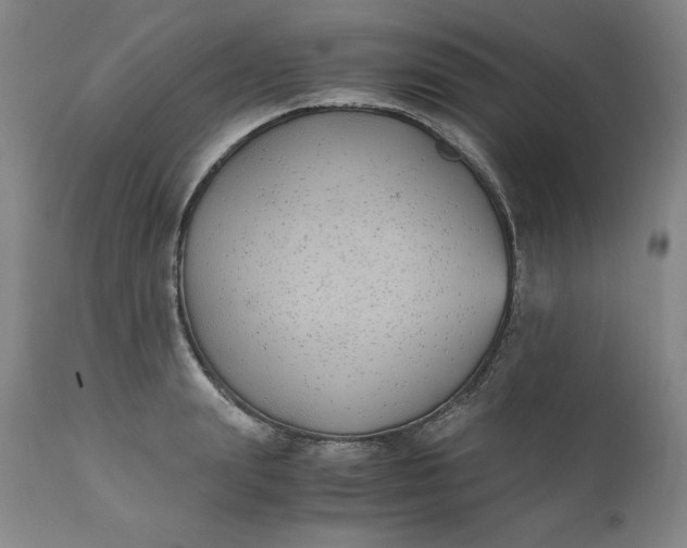 X0000111430847200907271103