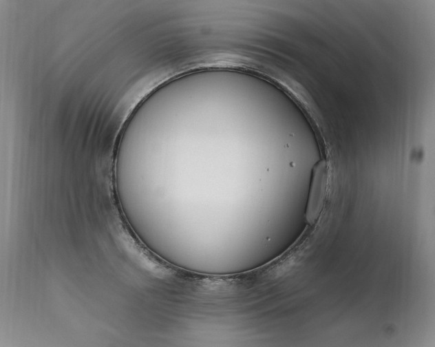 X0000111430850200907271103