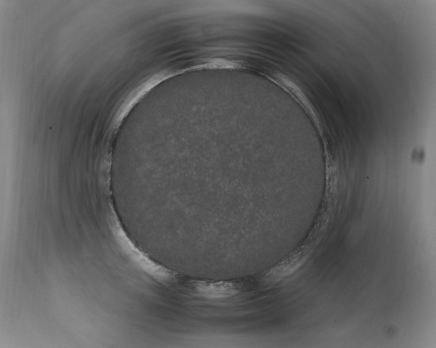 X0000111430851200907271103