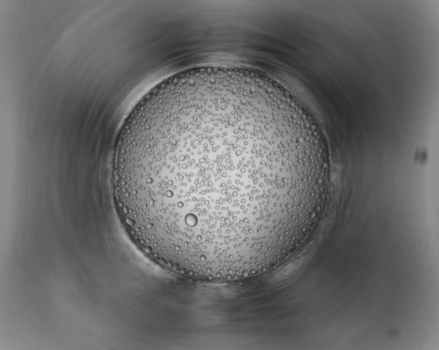 X0000111430855200907271103