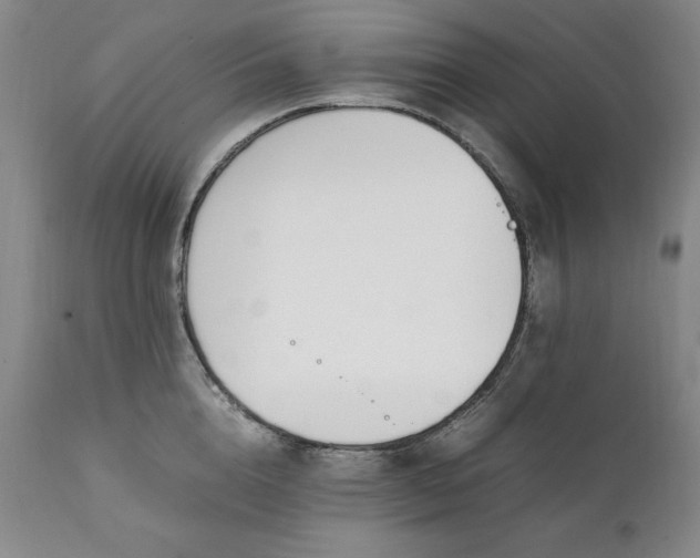 X0000111430856200907271103