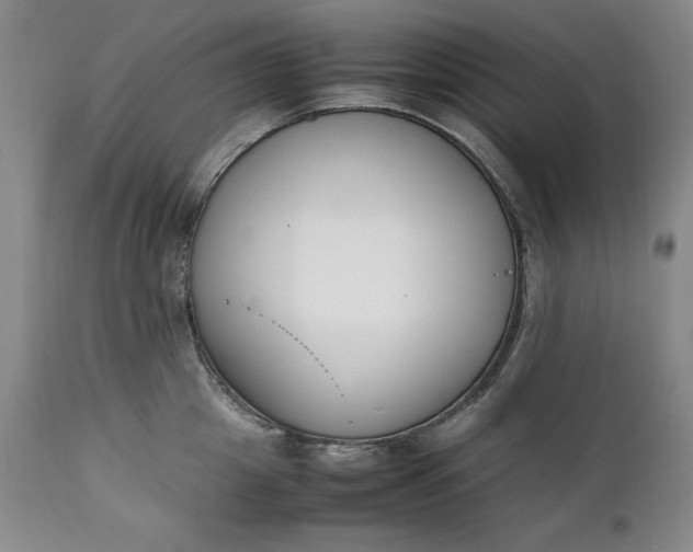 X0000111430857200907271103