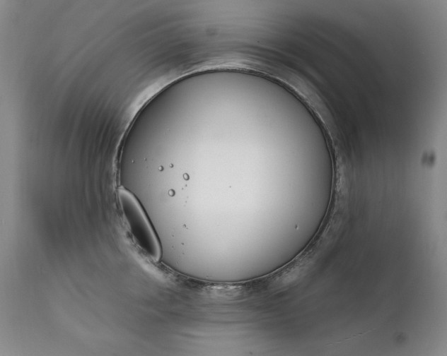 X0000111430858200907271104