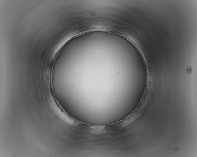 X0000111430859200907271104