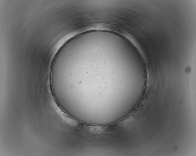 X0000111430861200907271104