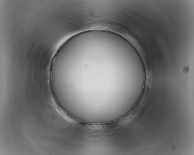 X0000111430862200907271104